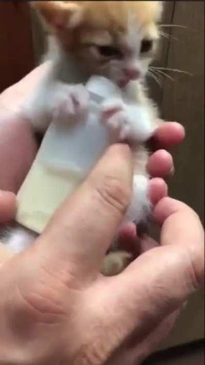 Starving prisoner given food for the first time