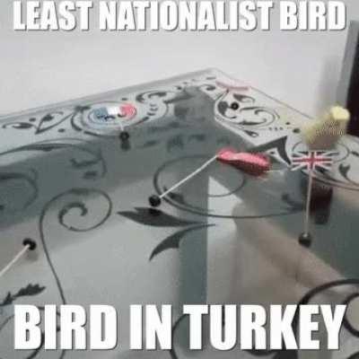 🇹🇷🐦🇹🇷🐦🇹🇷🐦