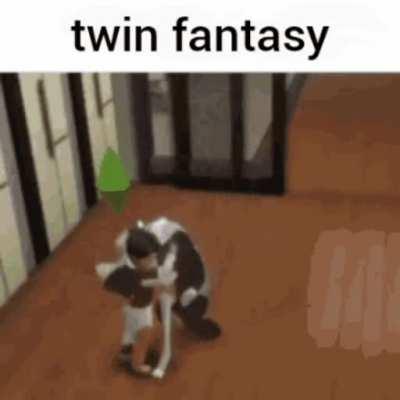 twin fantasy