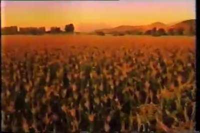 Cuando comer pollo era considerado sano (Comercial Chileno de 1989)