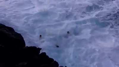 Waves are scary and unpredictable