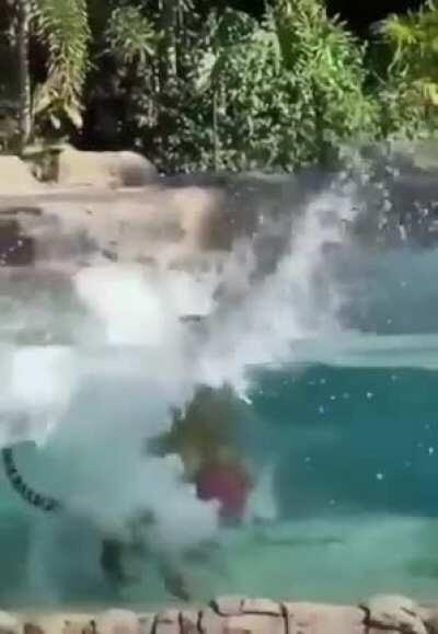 Always scared for the trainer in such clips...