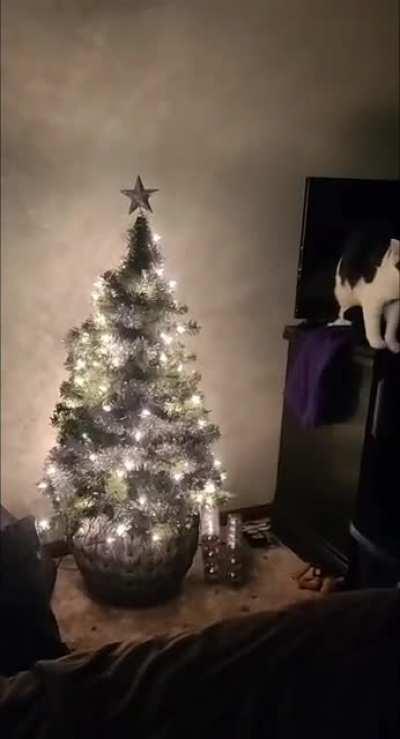 It hasn't even been 5 minutes..