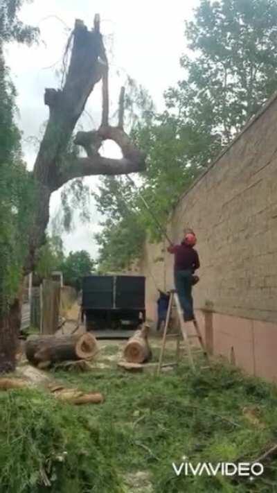 HMFT after I get an uppercut by this branch