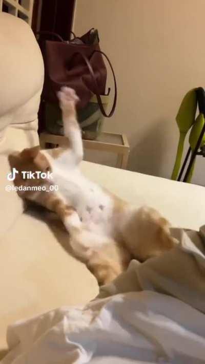 He is super confused