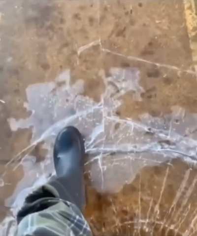 Bro really reached max power level