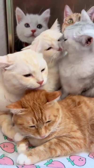 It's time for grooming