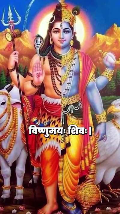 Vishnu And Mahadev (As Mention in shiv puran)