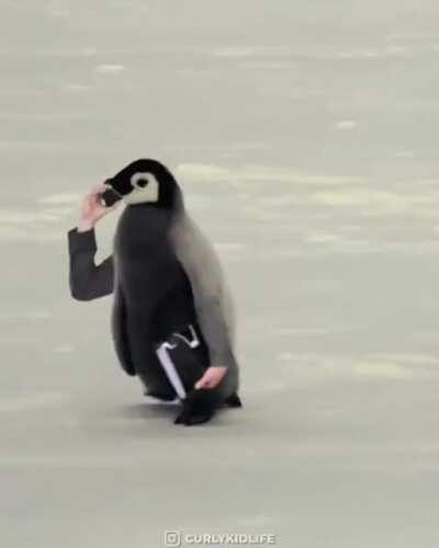 Thanks, I Hate Birds with arms...