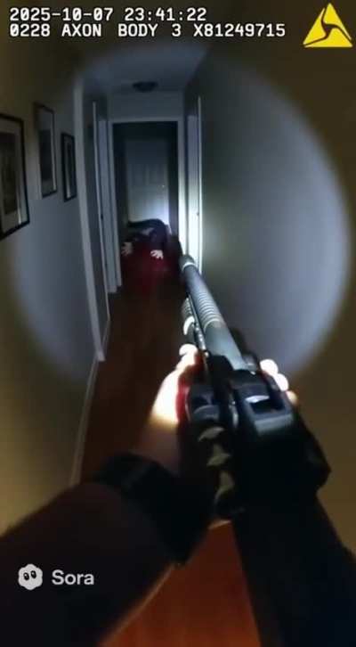 Ok i know i already posted but i remixed it a bit for blood