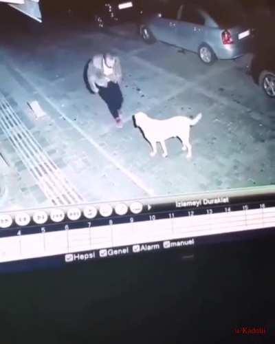 Türkiye'de sıradan bir gün