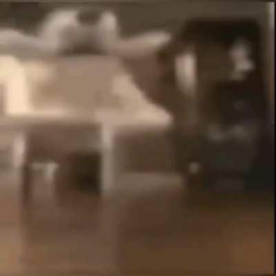 PedroDBR - Video #2959