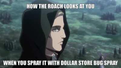 gguys why is this roach mising an arm 🧐