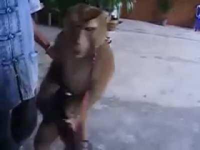 Leaked Lonerism recording sessions footage - circa 2011