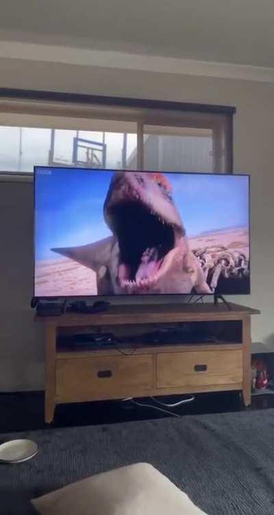 The resemblance is uncanny 