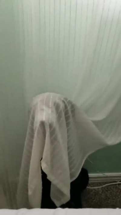 Getting ready for Halloween.