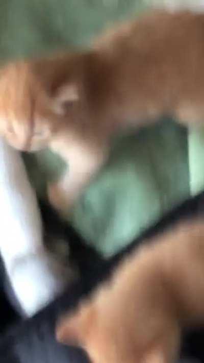 Inmates vocalize their plans to subdue the warden.