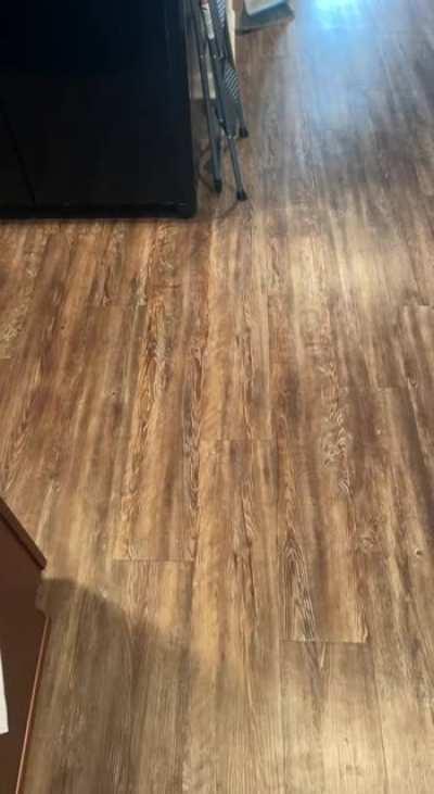 Riley, the deaf cat when he doesn’t see me vs. when he does.