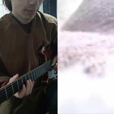 Corxea separando a los perros Armonizado