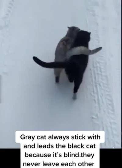 This is so wholesome🤍