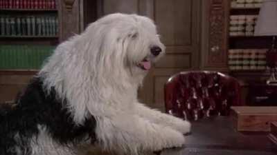 I'm very sorry for making this