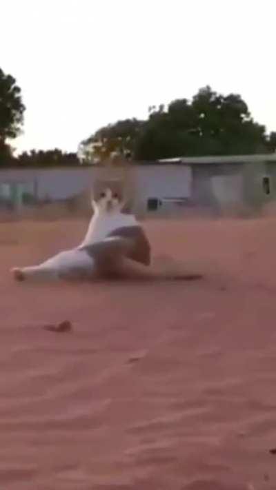 Sneak attack, or hit and run?