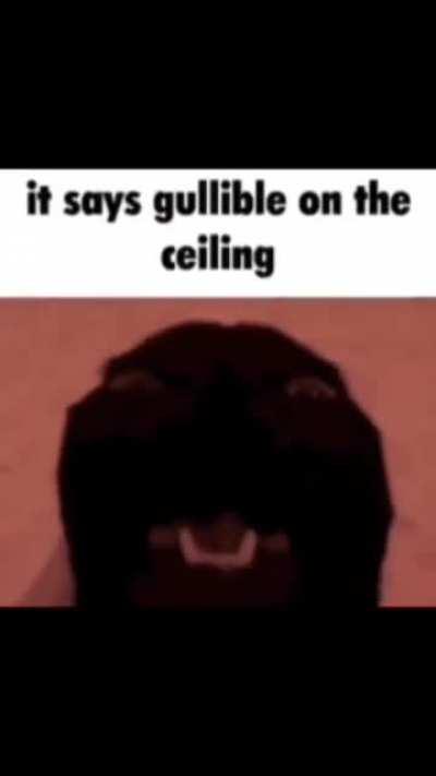 go on look at the ceiling