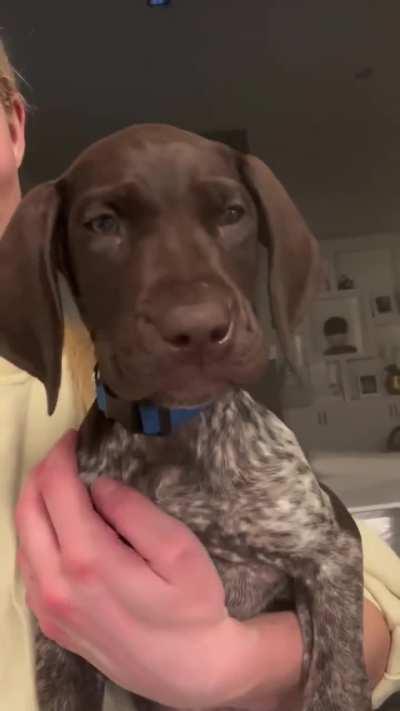 I think it's fair to say he's got a pretty special yawn