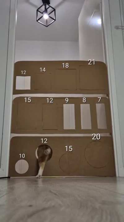 Sydney knows when she’s beat