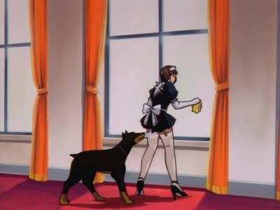 Can we really blame him? 😁🐶