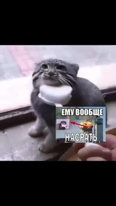 I need more attention