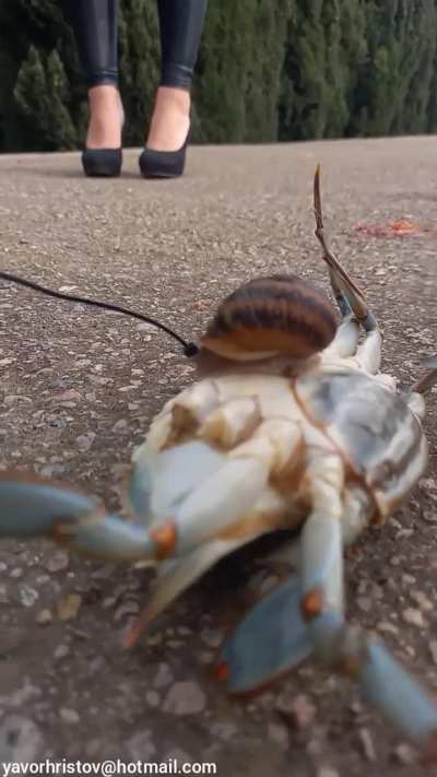 Girl in high heels crush