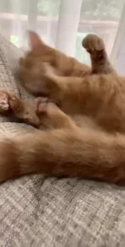 Why...isn’t...this...WORKING