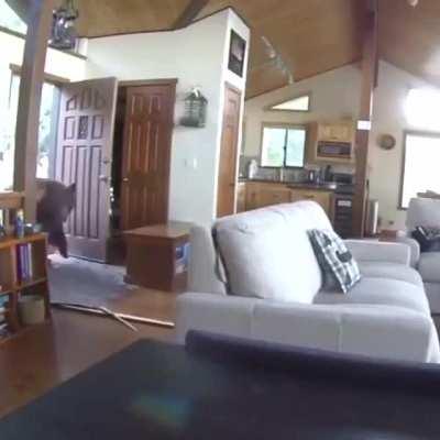 Hey, can I stay here?