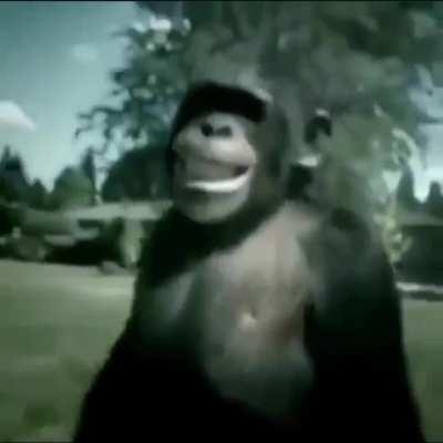 ⚠️ALERTA⚠️PEDRO SOLTOU O MAMACO