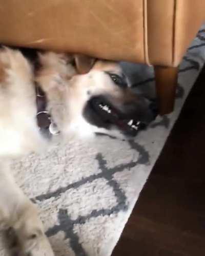 Benny's not ready to be an uncle...