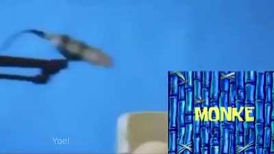 POR FAVOR NO 😭 estas bien? 🦧