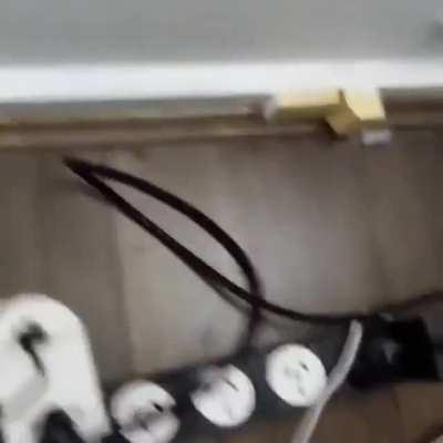 Shawty like a melody