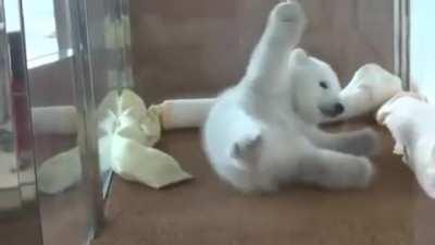 All that work for a nap position switch