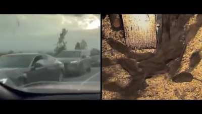 On the topic of mobilization…