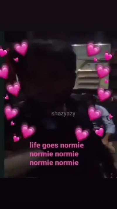 normies stay away remember
