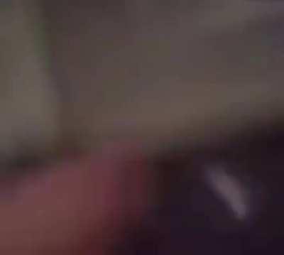 When the ghost starts hunting