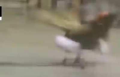 Every kid visiting their parents’ work