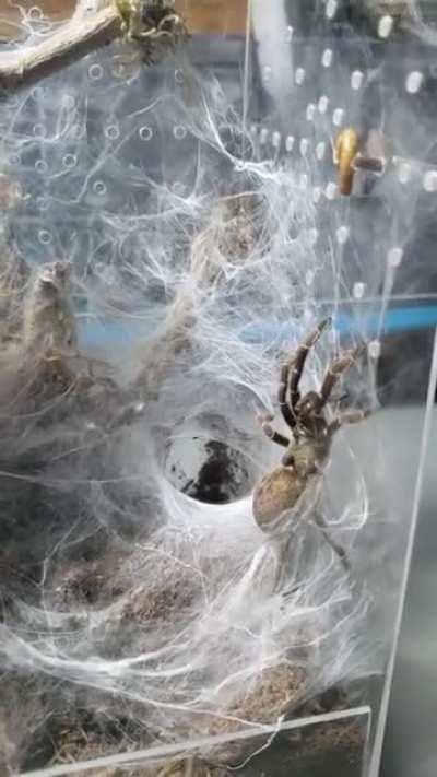 Saw this video online. Lol