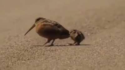 I hope this brightens your weekend