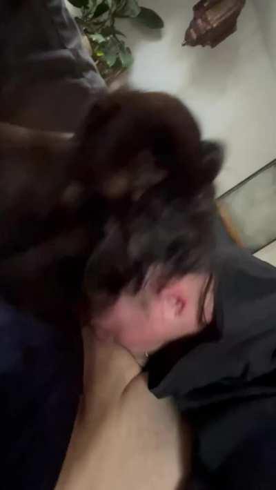 How I’m keeping my brain dicked