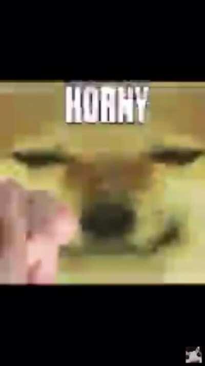 Stolen from youtube(plat)