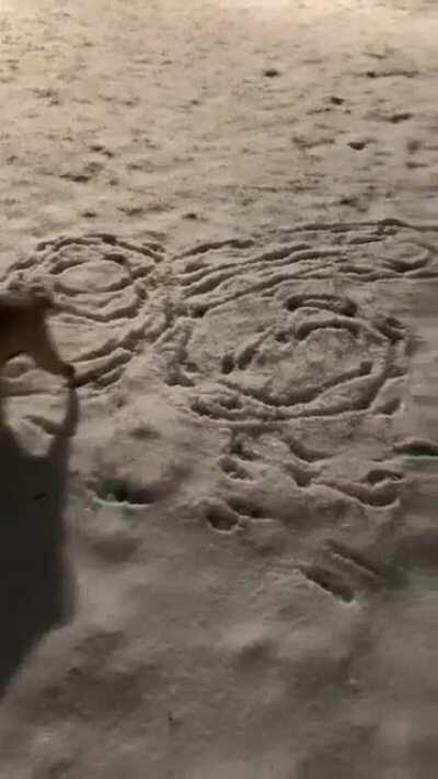 This dog must be a Veteran!