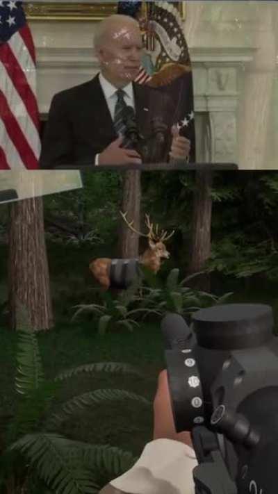 Joe might have been right about those deer...