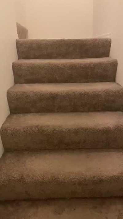 Kitty’s first attempt at the stairs